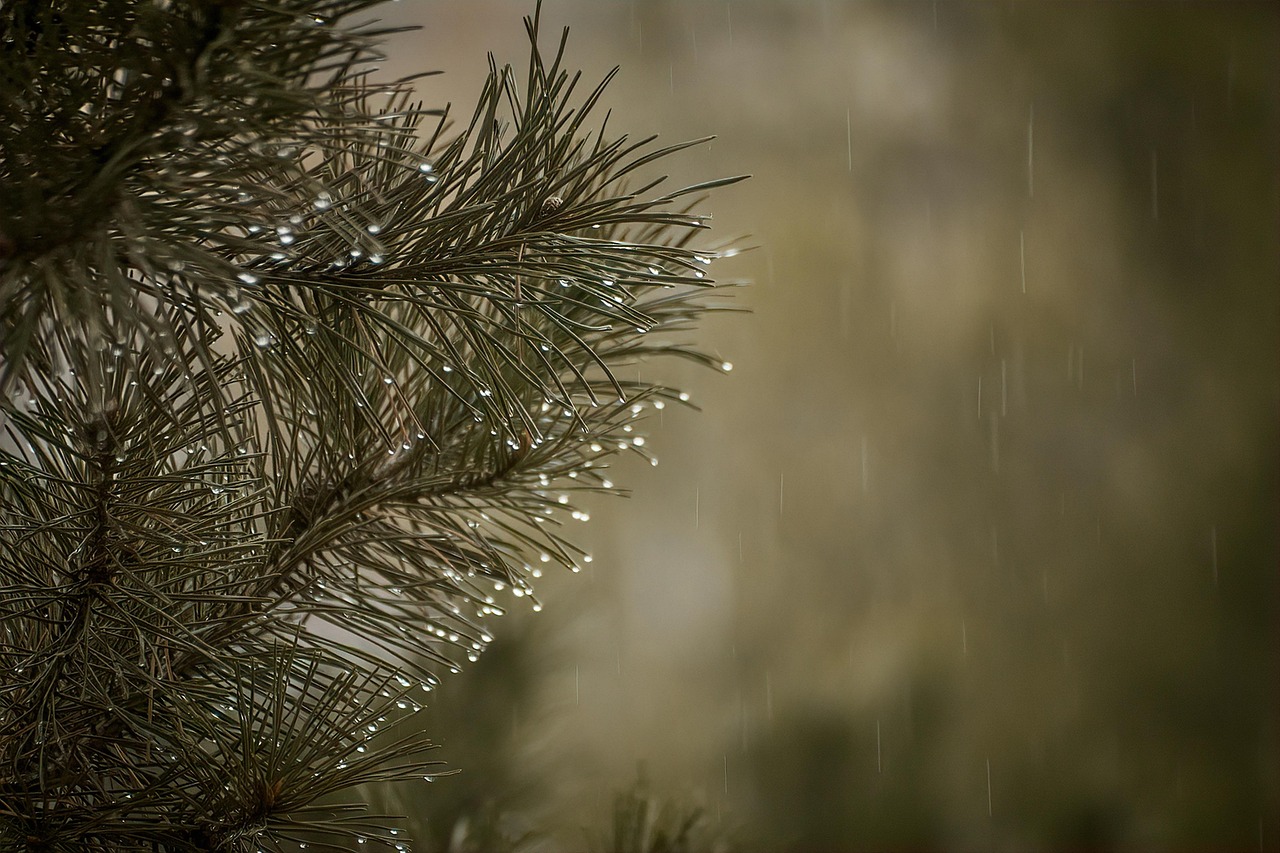 a rainy day paragraph