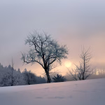 winter morning paragraph